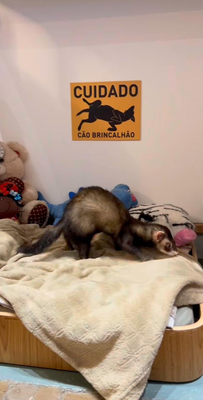 Sofia curtindo o café