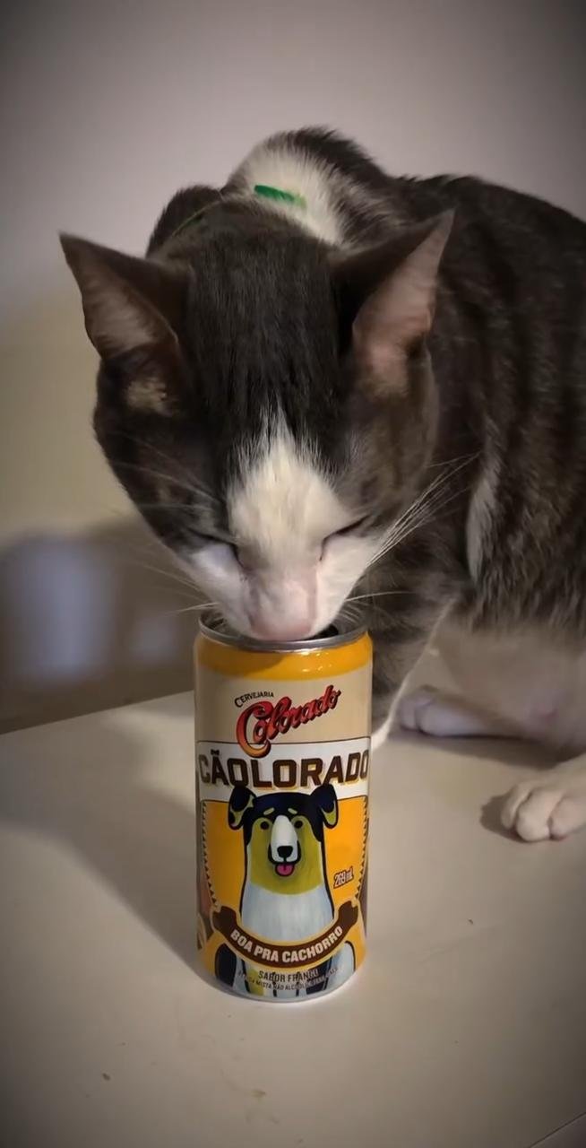 Sofia curtindo o café