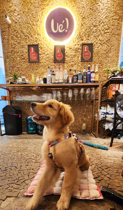 Sofia curtindo o café